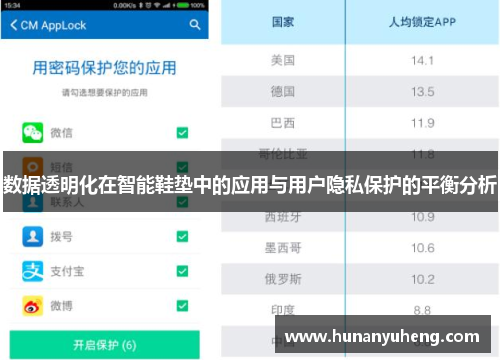 数据透明化在智能鞋垫中的应用与用户隐私保护的平衡分析
